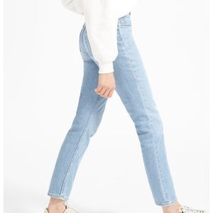 Everlane Cheeky Straight Leg Ankle Jean